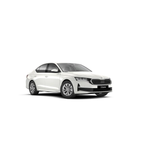 Octavia Selection 2.0 TDI DSG thumbnail