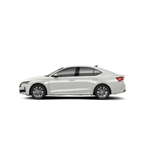 Octavia Selection 2.0 TDI DSG thumbnail