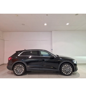 Audi e-tron 50 thumbnail