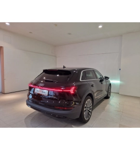 Audi e-tron 50 thumbnail