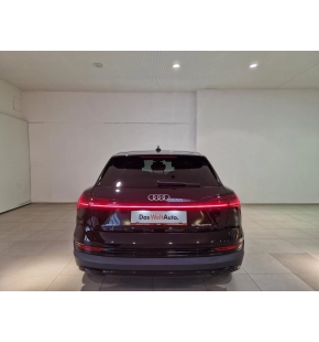 Audi e-tron 50 thumbnail