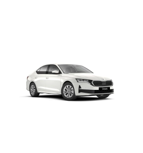Octavia Selection 2.0 TDI DSG thumbnail