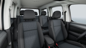 Caddy Life 2.0 TDI 90 kW DSG thumbnail