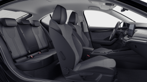 Octavia Selection 2.0 TDI DSG thumbnail