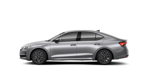 Octavia Selection 2.0 TDI DSG thumbnail