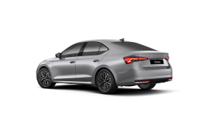 Octavia Selection 2.0 TDI DSG thumbnail
