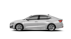 Octavia Selection 2.0 TDI DSG thumbnail
