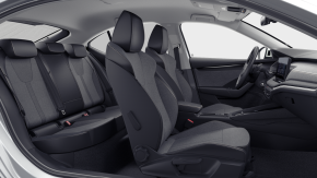 Octavia Selection 2.0 TDI DSG thumbnail