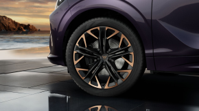 CUPRA Terramar 2.0 TSI DSG 4DRIVE thumbnail
