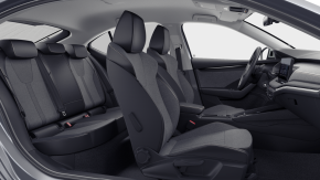 Octavia Selection 2.0 TDI DSG thumbnail