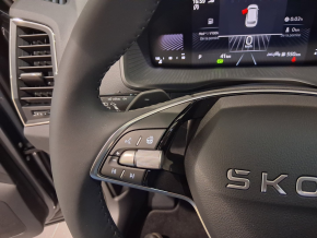 Škoda Karoq Selection 1.5 TSI DSG thumbnail