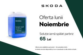 Solutie iarna spalat parbriz thumbnail