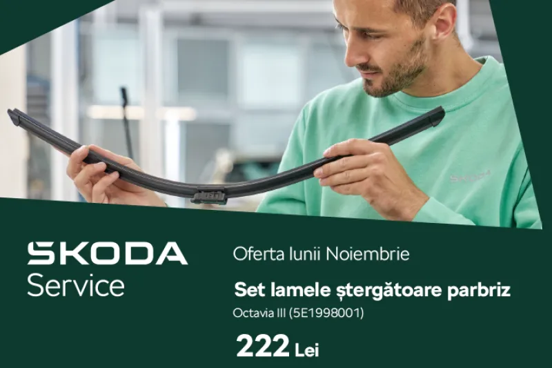 Set lamele stergatoare parbriz