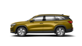 Kodiaq Selection 2.0 TDI DSG 4x4 thumbnail