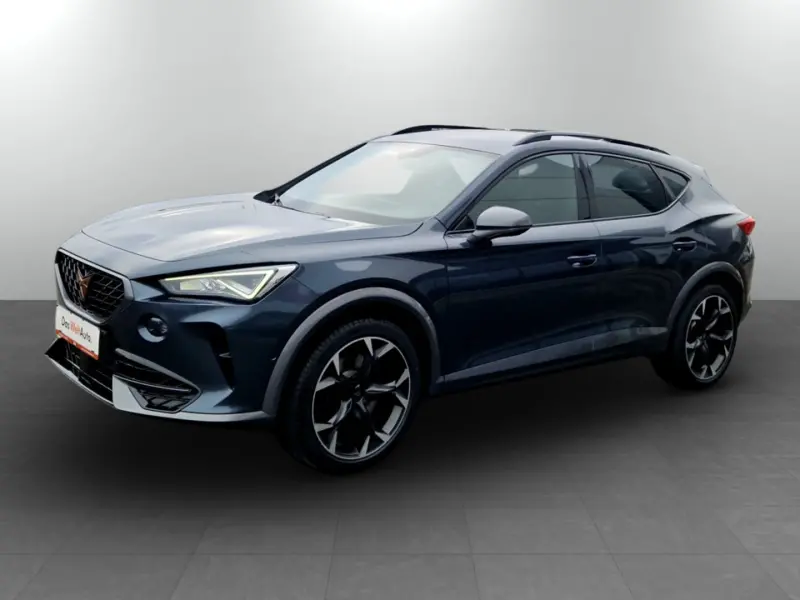 CUPRA Formentor TRIBE VZ 2.0 TSI 245 PS DSG