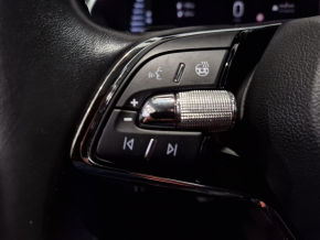 Škoda OCTAVIA Business iV DSG thumbnail