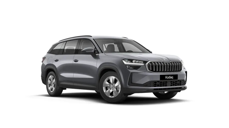 Kodiaq Selection 2.0 TDI DSG 4x4 Fleet