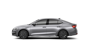 Octavia Selection 2.0 TDI DSG thumbnail