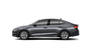 Octavia Selection 1.5 TSI DSG mHEV thumbnail