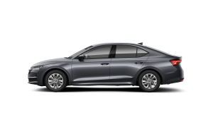 Octavia Selection 2.0 TDI DSG thumbnail