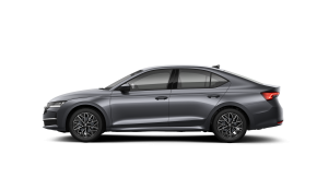 Octavia Selection 2.0 TDI DSG thumbnail