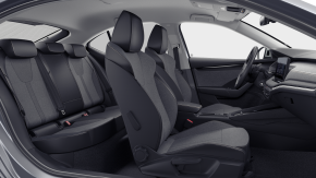 Octavia Selection 2.0 TDI DSG thumbnail