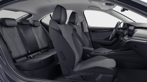 Octavia Selection 2.0 TDI DSG thumbnail