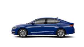 Octavia Selection 2.0 TDI DSG thumbnail