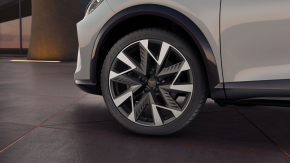 CUPRA Formentor 2.0 TSI 4DRIVE thumbnail