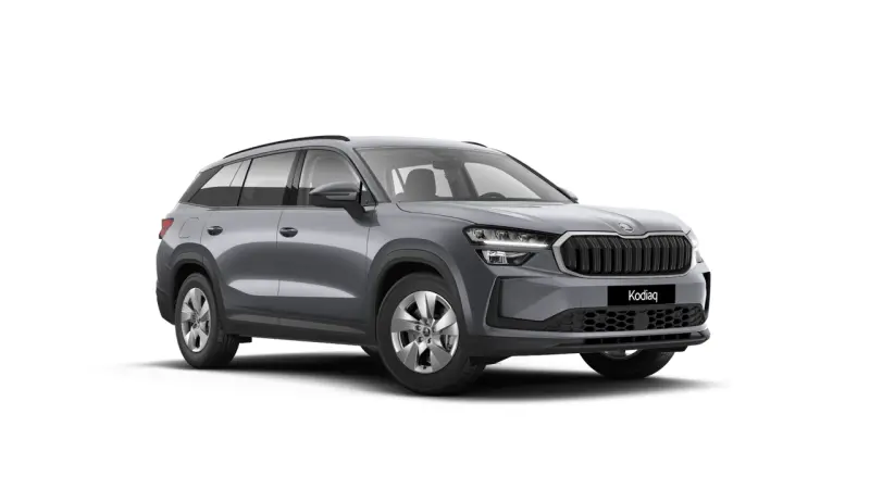 Kodiaq Selection 2.0 TDI DSG