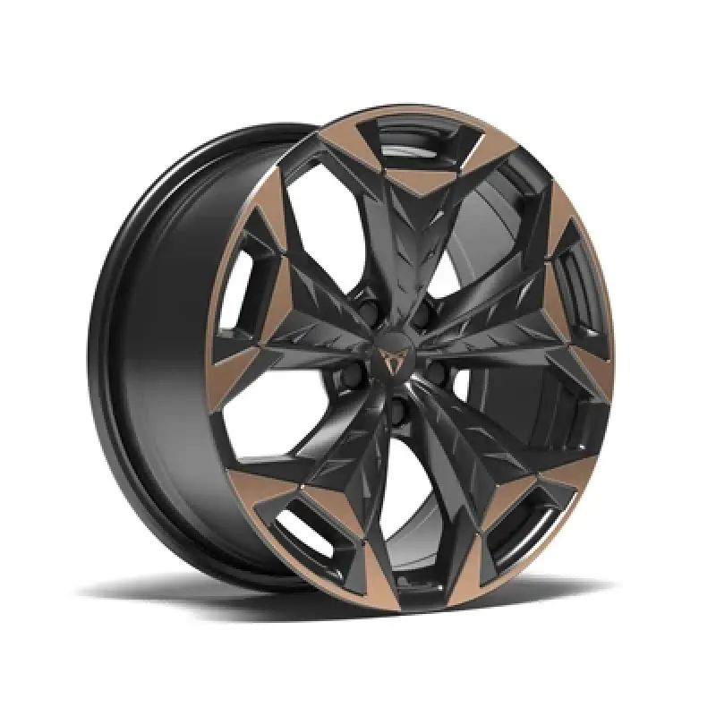 Roți de iarnă Cupra Terramar 255/45 R19, jante aliaj CUPRA Cosmic