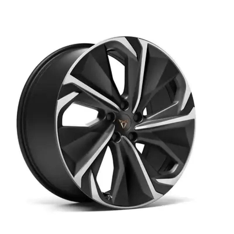 Roți de iarnă Cupra Tavascan 255/45 R20, jante aliaj CUPRA Hekla