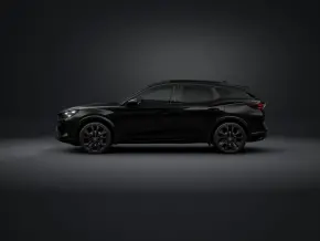 Tribe Edition Black 1.5 eTSI DSG7mhev thumbnail