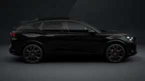 Tribe Edition Black 1.5 eTSI DSG7mhev thumbnail