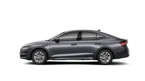 Octavia Selection 2.0 TDI DSG thumbnail