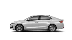 Octavia Selection 2.0 TDI DSG thumbnail
