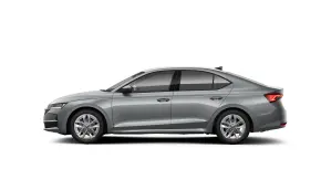 Octavia Selection 2.0 TDI DSG thumbnail