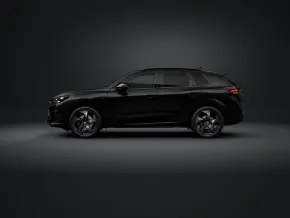 Terramar Tribe Black 2.0 TSI DSG 4DRIVE thumbnail