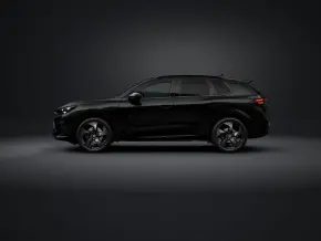 Terramar Tribe Black 2.0 TSI DSG 4DRIVE thumbnail