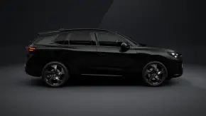 Terramar Tribe Black 2.0 TSI DSG 4DRIVE thumbnail