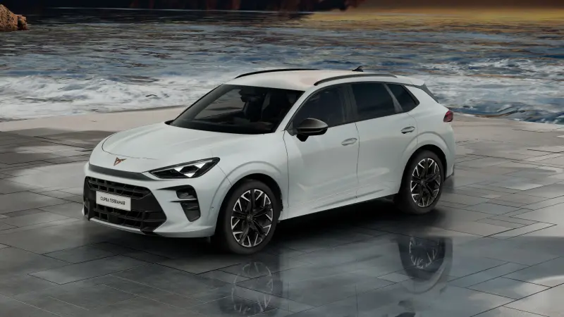 CUPRA Terramar 2.0 TSI DSG 4DRIVE