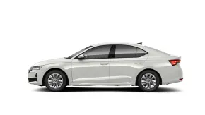 Octavia Selection 2.0 TDI DSG thumbnail