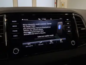 Škoda Karoq Selection 1.5 TSI DSG thumbnail