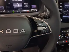 Škoda Karoq Selection 1.5 TSI DSG thumbnail