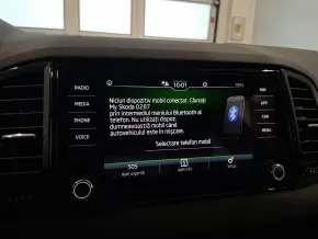 Škoda Karoq Selection 1.5 TSI DSG thumbnail
