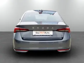 Octavia Selection 2.0 TDI DSG thumbnail