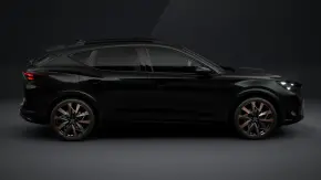 CUPRA Formentor 2.0 TSI 4DRIVE thumbnail