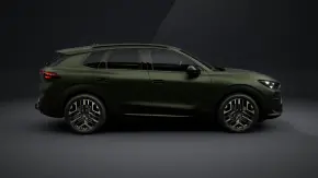 Terramar Tribe Edition 2.0 TSI DSG 4DRV thumbnail