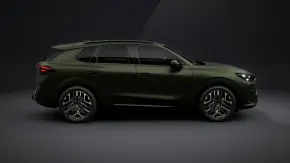 Terramar Tribe Edition 2.0 TSI DSG 4DRV thumbnail