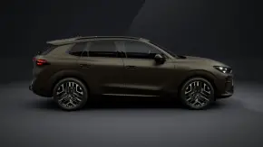 Terramar Tribe Edition 2.0 TSI DSG 4DRV thumbnail